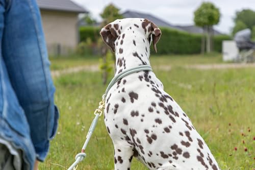 Laisse en corde solide TRIXIE Soft Rope avec finition trigger snap hook robuste - 5