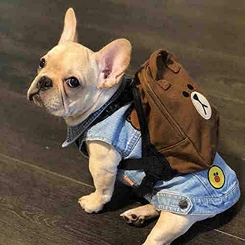 Point de Croix Estampillé 11CT Kit Broderie Adulte Canevas Chien Débutant Facile