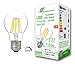 Produktbild greenandco® CRI90+ Glühfaden LED Lampe | dimmbar | klar | ersetzt 54 Watt E27 Birne | 8W 710 Lumen | 2700K warmweiß | Filament Fadenlampe | 360° 230V AC | flimmerfrei | 2 Jahre Garantie
