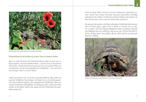 Der Schildkröten-Gärtner - Naturnahe Ernährung Europäischer Landschildkröten: Über 65 geeignete Futterpflanzen sowie Anleitungen, Tipps und Tricks zur ... zur Haltung Europäischer Landschildkröten)