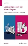 Schlütersche