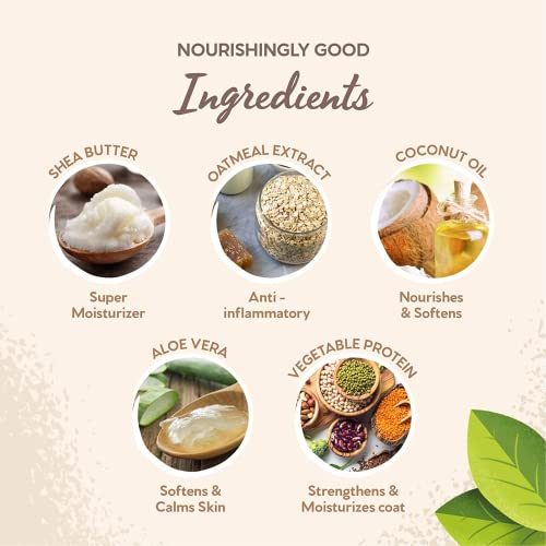 The Company Of Animals 90662A Pet Head On All Paws Coconut Paw Butter 1.4 Oz. Nourishing Paw Balm thumb #5
