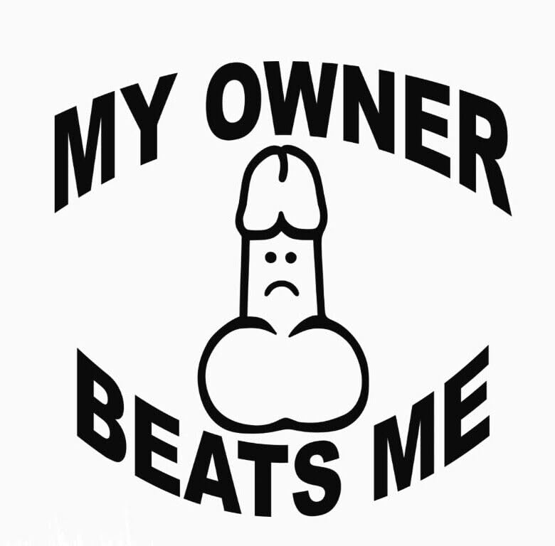 My Owner Beats Me - Funny Decal - Die Cut Vinyl Decal for Cars, Trucks, Motorcycles, Vans, Laptops, ToolBoxes, Windows, Mobiles, etc (5x5, Rainbow Holographic)