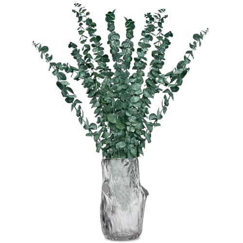 20 Tallos De Eucalipto Seco Para Arreglos Florales, Bodas Y Decoración Del Hogar.