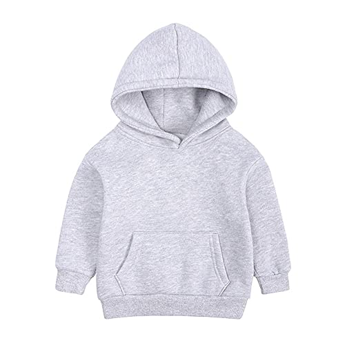 Toddler Kids Baby Boy Girl Long Sleeve Basic Solid Hoodie Pullover Sweatshirt Sports Tops with Pockets Outfits (Gray With Fleece, 18-24 Months)