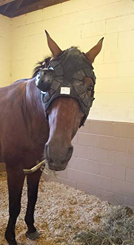 Interchangeable Eye Saver System (Small Horse)