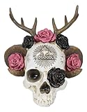 Ebros Gift Wicca Paranormal Pagan The Horned God Ram and Moon Goddess Antler Skull with Pink and Black Roses Pyramid Eye of Providence Sculpture Spirit Medium Skeleton Cranium Halloween