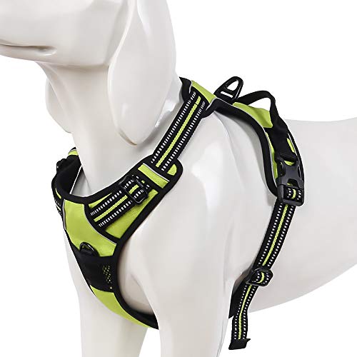 WINHYEPET True Love Dog Harness, No-Pull Reflective Pet Harness with 2 Leash Clips Adjustable Soft Padded Dog Vest with Easy Control Handle for Small