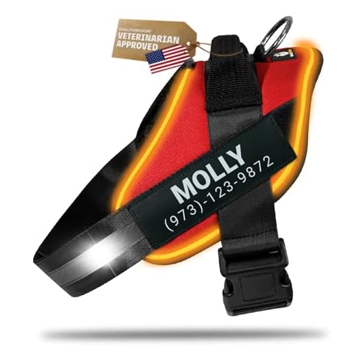 DOGGYKINGDOM Personalized No Pull 360° LED Dog Harness with Custom Name Patches, USB Rechargeable, Adjustable, Reflective for Night Walks, Rainproof Module with 3 Modes Lasts up to 24h, Red, 2XL
