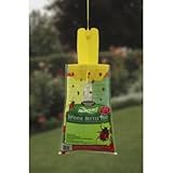 Sterling International JBTZ-DB12 Japanese Beetle Trap, Reusable - Quantity 12