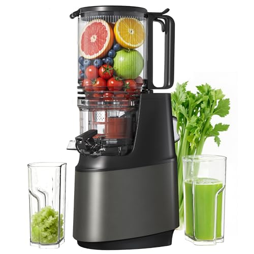 Cold Press Juicer with Wide Feed Chute