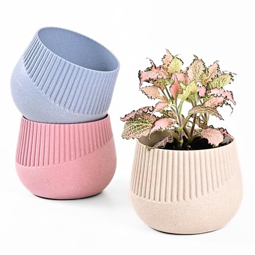 Image of Eha Earth Friendly Oreo 4 inch Small pots for Indoor Plants | Set of 3 | Plant Pot Made with Bamboo Fibers | Table Top Planters for Home Decor and Office, Flower Pot for Living Room | Inno-Sand-Azur