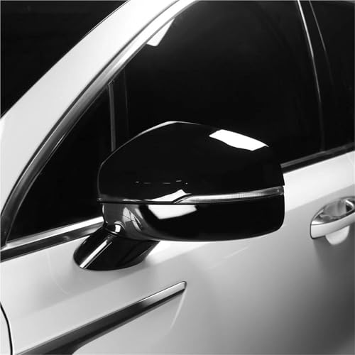 Couvercle rétroviseur carbone Kia Sorento MQ4 look baroudeur - 2