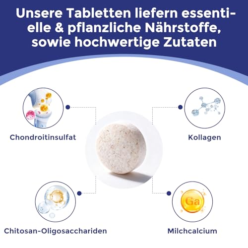 Gelenktabletten für den Hund (180 Stück) – zur Gelenkunterstützung mit Chondroitin & Kollagen – halten sie ihren Hund gesund & beweglich – Hundeleckerli mit Milchcalcium