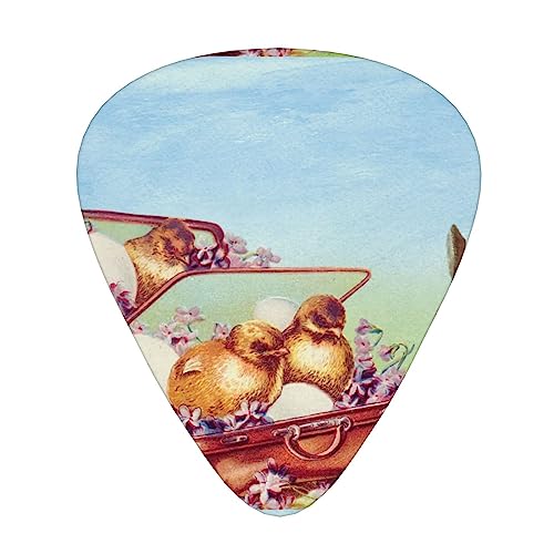 C[X^[Be[Woj[Ђ悱 M^[sbN Guitar Pick 12Zbg eBAhbv^ GLM^[/AR[XeBbNM^[/NVbNM^[/x[X̗KɍœK12Zbg
