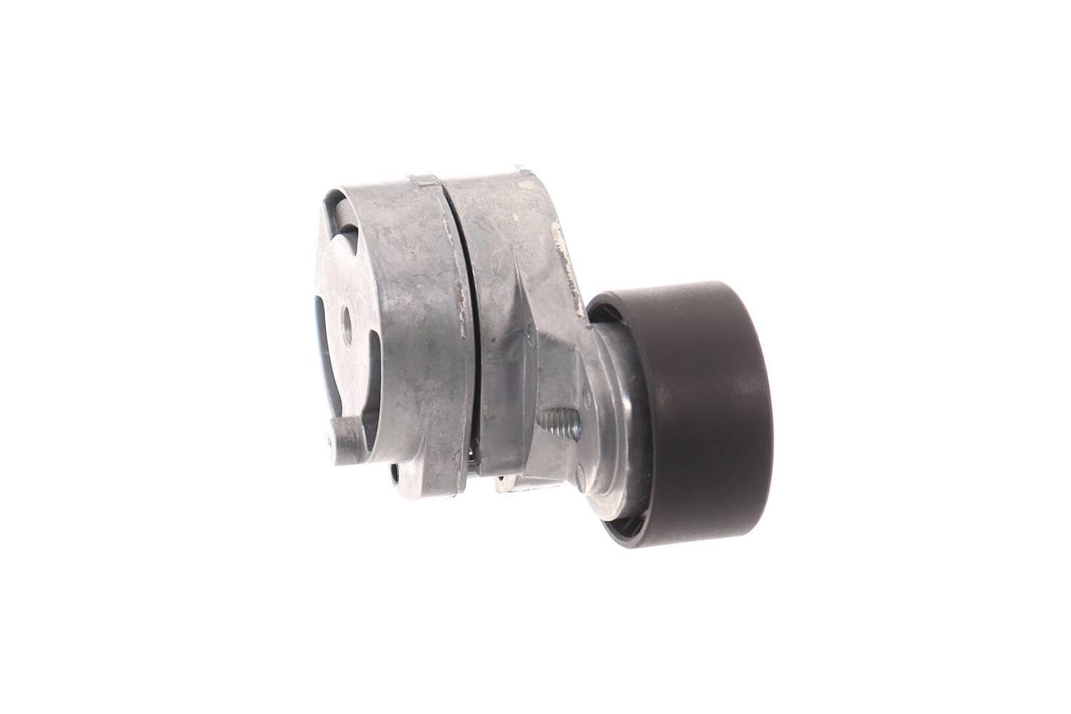 SKF VKM 33061 Kit Tensor Multi-V