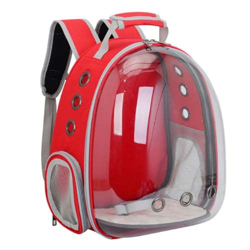 MsiDtsoy ybgL[obO LL[ Lp FDJvZ^ bNTbN sybg  o ʋC e ϋv S ܂肽 (bh)