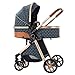 2 in 1 Baby Stroller Reversible Portable Standard Stroller Convertible Pushchair Infant Buggy Baby Carriage Foldable High Landscape Pram for Toddler Newborn (225 Blue)