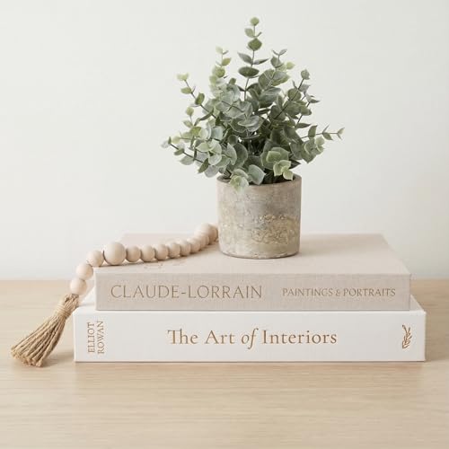 Vine Creations Decorative Books - Set of 2 Linen Hardcover Boxes with Storage - Aesthetic Fake Books for Decoration for Home, Shelf, Bookshelf Decor, Coffee Table Decor, as Storage or Keepsake Box