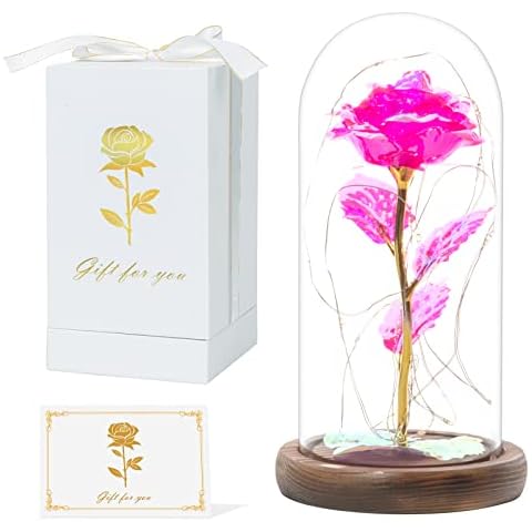 Flower Rose Gifts for Mom Grandma Nana - Unique Mothers Gifts from Daughter Son - with Led String Light in Glass Dome with Greeting Card Cover