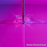 ARC
