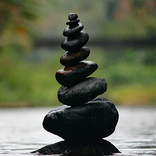 Zen State Podcast cover art