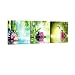 Pyradecor 3 Piece Spa Zen Stone Giclee Canvas Prints Wall Art Paintings Pictures for Living Room Bedroom Home Office Decor Modern Stretched and Framed Green Bamboo Pink Flowers Romance Artwork