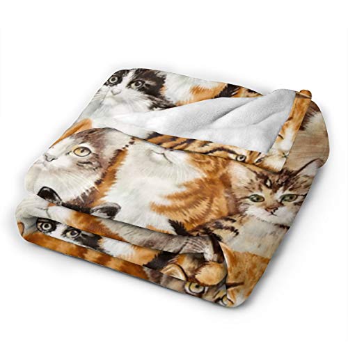 Blublu Cute Cat Design Flannel Fleece Bed Blanket Throw Blanket Lightweight Cozy Plush Blanket For Bedroom Living Rooms Sofa Couch 50"X40" #TOP1