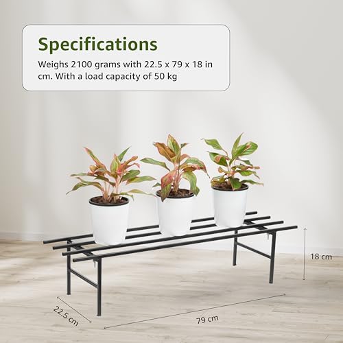 Image of Amazon Brand - Solimo Folding Metal Plant Stand (Pack of 2, Black) - Heavy-Duty, 50 kg /Shelf Load Capacity, 22.5 x 79 x 18 cm, Indoor & Outdoor Use