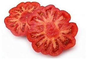 Costoluto Fiorentino Tomato Seeds (20 Seed Pack)