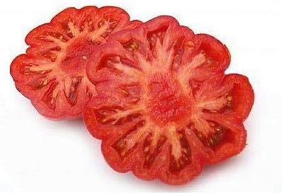 Semillas de tomate Costoluto Fiorentino (paquete de más de 60 semillas)