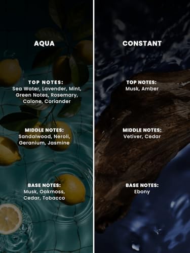 Image of EM5 Solid Perfume for Men Aqua and Constant | Fresh Aquatic & Warm Woody Musky Fragrance | 100% Alcohol Free Pocket Cologne | Long Lasting Solid Perfume | Travel Friendly & Spill Proof | Luxury Gift for Him | 12g x 2