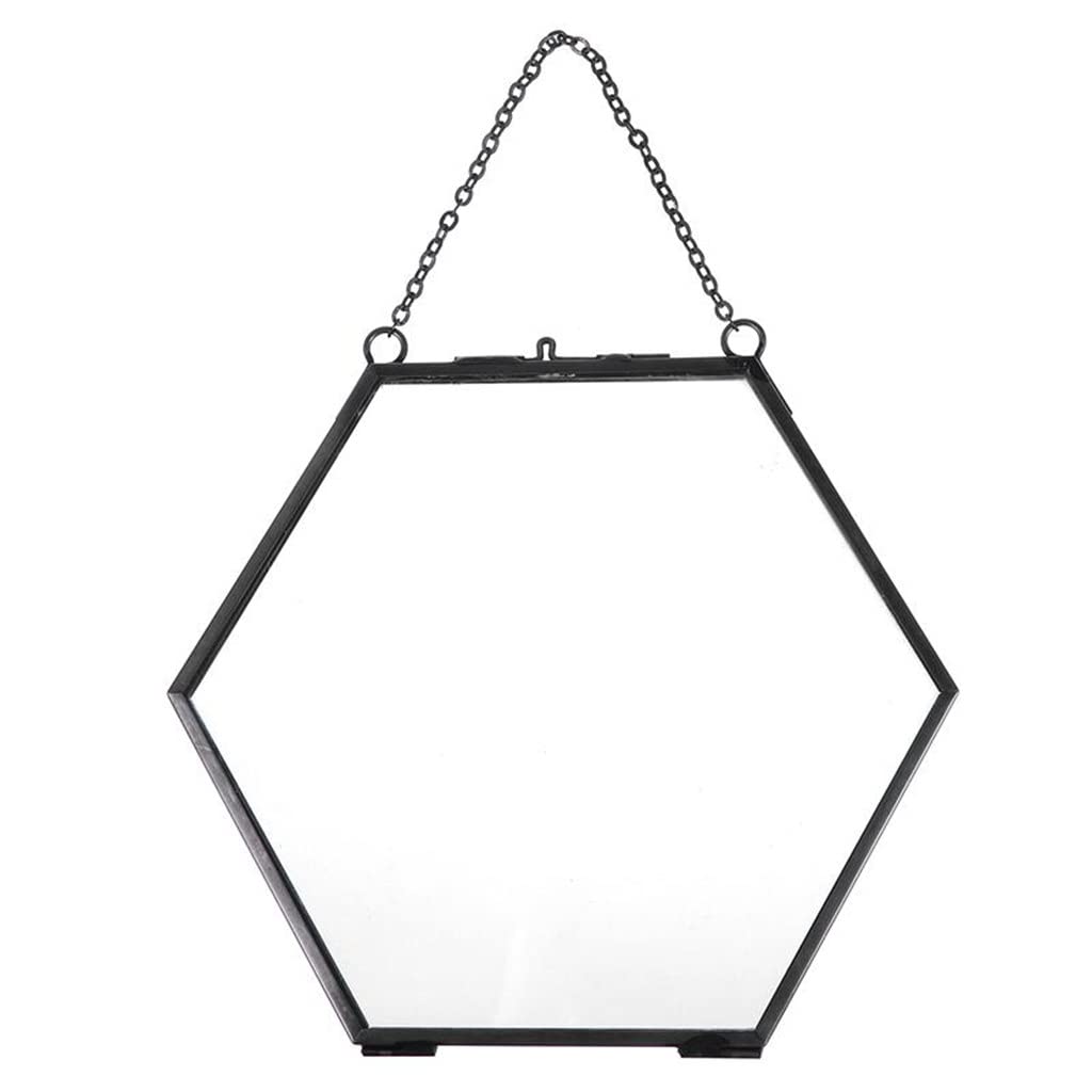 Picture Frames, Hexagon Glass Hanging Photo Frame Specimen Clip Decorative Picture