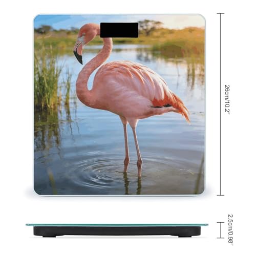 Báscula digital de baño con plataforma de vidrio templado 10x10 in miniatura 2