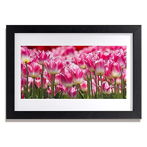 Affiche encadrée tulipes fleurs nature pour habiller un mur vide