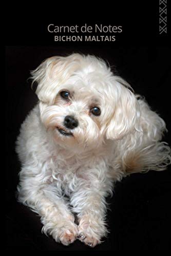 Carnet de notes – 140 pages – Taille grand format (15,2 x 22,9 cm) - Cadeau pour les passionnés de chiens - Bichon Maltais: Ce carnet de qualité est ... cahier...