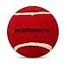Nivia Heavy Red Cricket Tennis Hard Ball