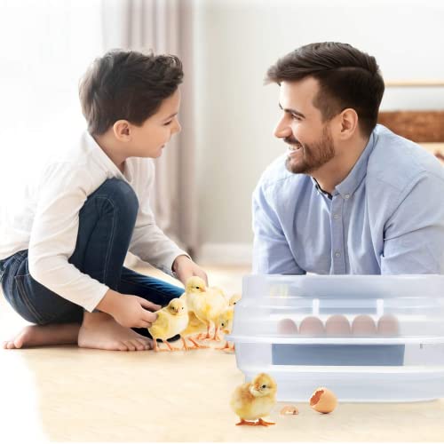 Foto von Automatischer Eierbrutschrank Inkubator, 12 Eier Eierinkubator mit Digitaler Temperaturanzeige und Automatischer Drehung, zum Ausbrüten von Hühnern, Enten, Wachteln, Tauben