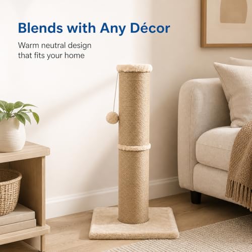AGYM Cat Scratching Post with 5.5 Inch Diameter Sisal Post, 32 Inch, Yellow by AGYM - Used condition - Image 7