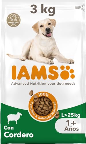IAMS Alimento seco para perros de razas grandes con cordero, comida seca para perros adultos de más de 1 año, 3 kg