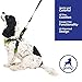 Gooby Escape Free Sport Harness - Lime, Small - No Choke Step-in Patented Neoprene Dog Harness with Four-Point Adjustment for Small to Medium Dogs