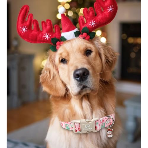 Image of Christmas Dog Collars - Lovely Pink Snowman and Lantern Print Dog Collar - Lightweight, Adjustable Collar for Small to Large Dogs XS