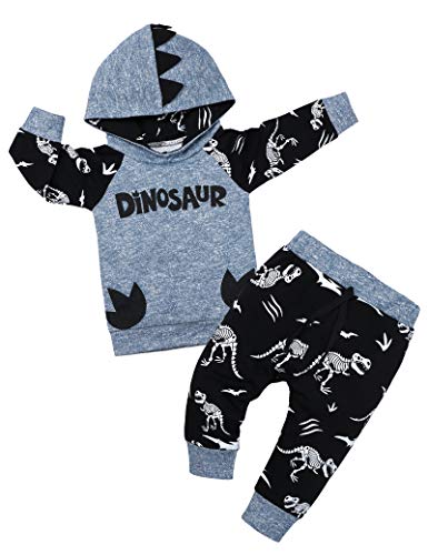 Newborn Baby Boy Clothes Dinosaur Hoodies Infant Winter Sweatsuit Pants 2PCS Baby Boy Outfits Set 6-12 months