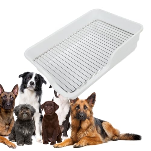 Hundeköpfchenschale flach leicht zu reinigen verschüttet Proof Edelstahl Gitter Hundetraining Toilette für kleine mittelgroße Hunde (White)