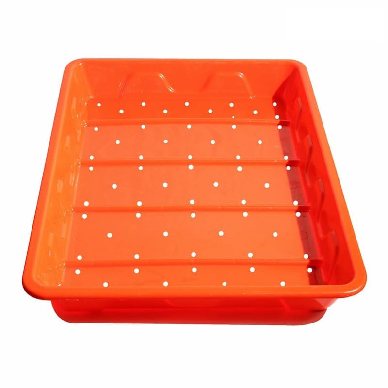 Hydroponics Premium Plastic Tray for Wheat Grass, Maize Fodder, Microgreens, Seeds Sprouting - HDPE Food Grade Virgin Plastic, 22 x 16 x 2.5 Inch, Orange (6 Pack)-image-34
