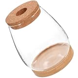 Vaso Idroponico in Vetro Set 1 Trasparente, con Vassoio di Bambù