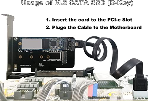 Image of Pi+(PiPlus) Dual M.2 PCIE Adapter for SATA or PCIE NVMe SSD, M.2 SSD NVME (m Key) and SATA (b Key) 2280 2260 2242 2230 to PCI-e 3.0 x 4 Host Controller Expansion Card (MKeyBkey)-NOT BOOTABLE