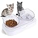 Miski dla psa dla kota, przezroczysta podwójna miska dla kota Naczynia na karmę dla kotów pochylone 15 ° Podniesiona miska do karmienia kota ze stojakiem dla kotów i małych psów