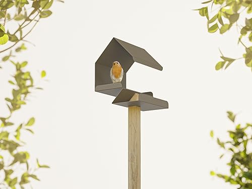 Alberts 355166 Creative Bird House Feeder, Rust Brown