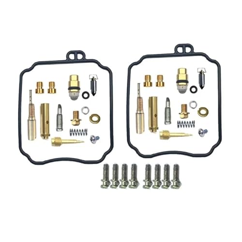 Kit réparation carburateur Hyosung GT125 résoudre fuite essence moto